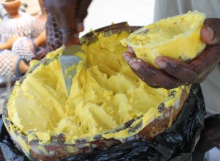 Shea butter production